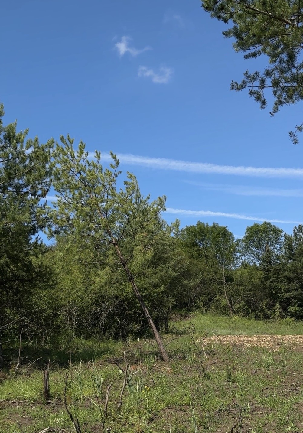 Exclusive Panoramic Land Plot near Bankya